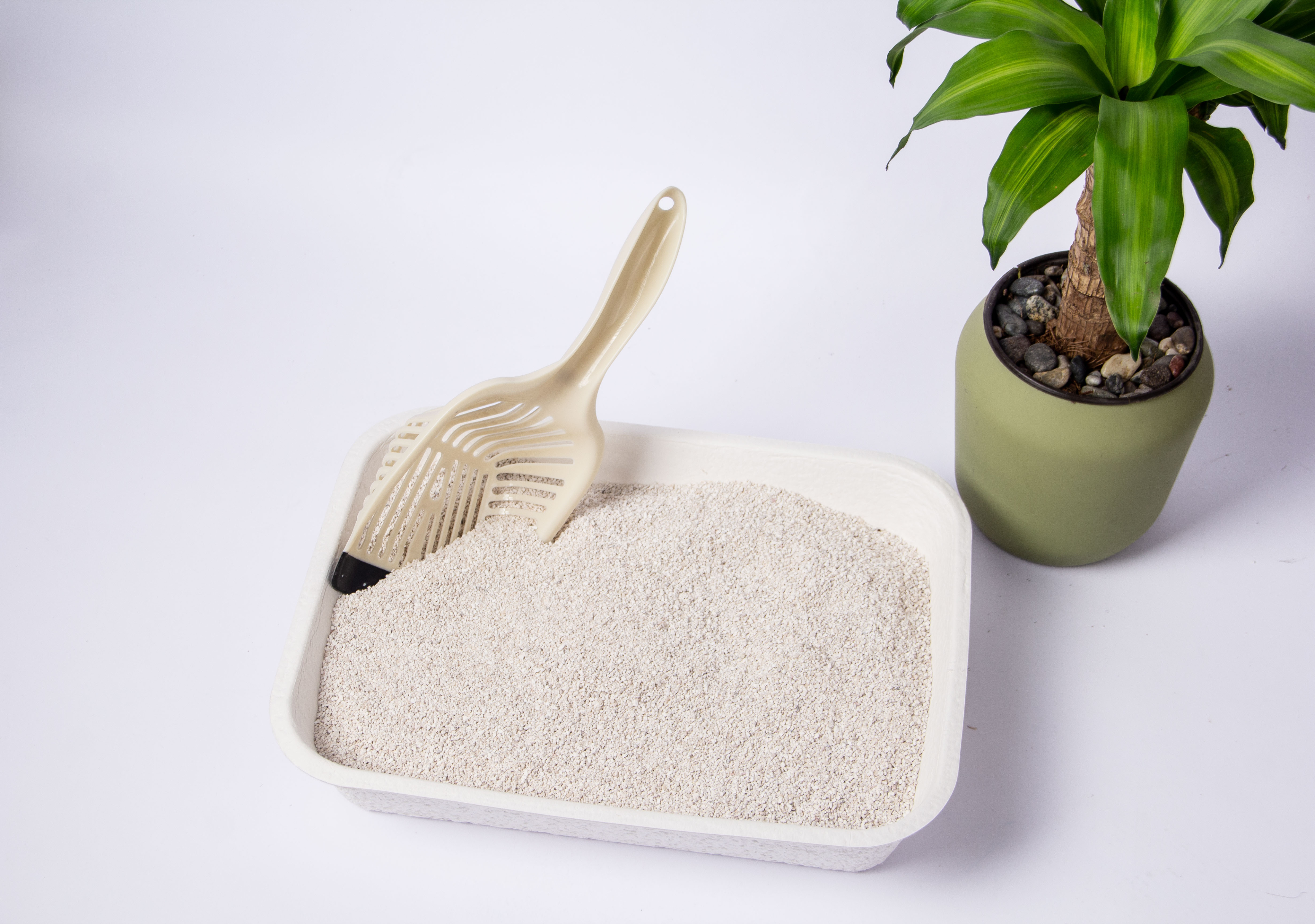 Arenero con pala y planta